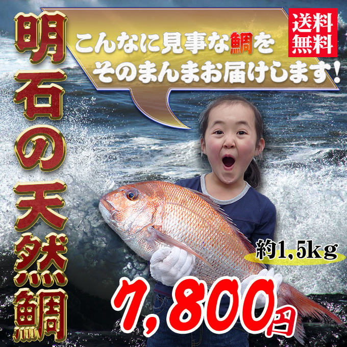 たいの通販!鯛飯の通販!鯛の事なら新鮮市場【産直あきんど】にお任せ!