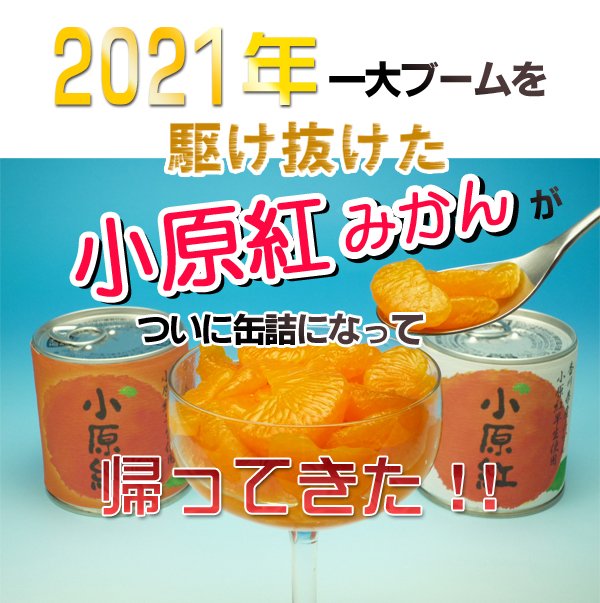 香川産！小原紅みかんの缶詰の通信販売店！新鮮市場【産直あきんど】