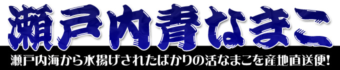 瀬戸内海産！青なまこ通販。