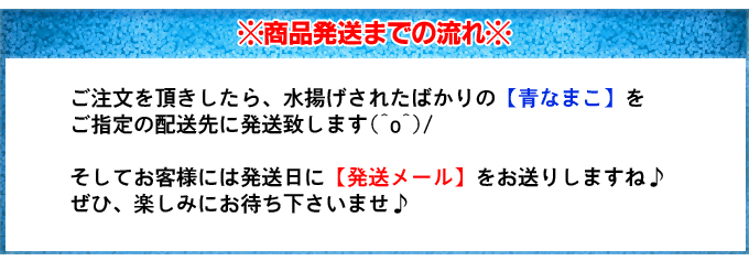 青ナマコの通販