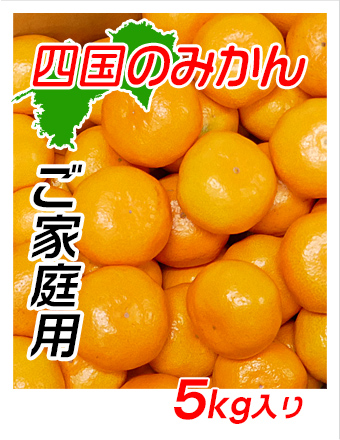 訳ありご家庭用愛媛みかんの通販サイト。