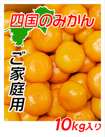 訳ありご家庭用愛媛みかんの通販サイト。