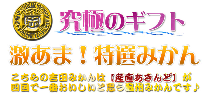 曽保みかん！吉田のみかん