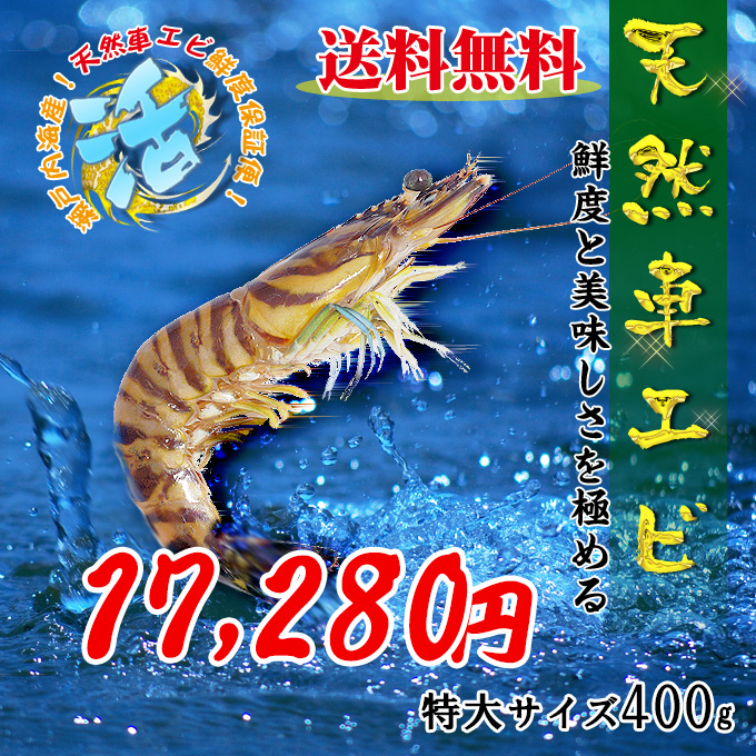 瀬戸内海産の天然車エビ400gお歳暮 お中元 ギフトに 送料無料