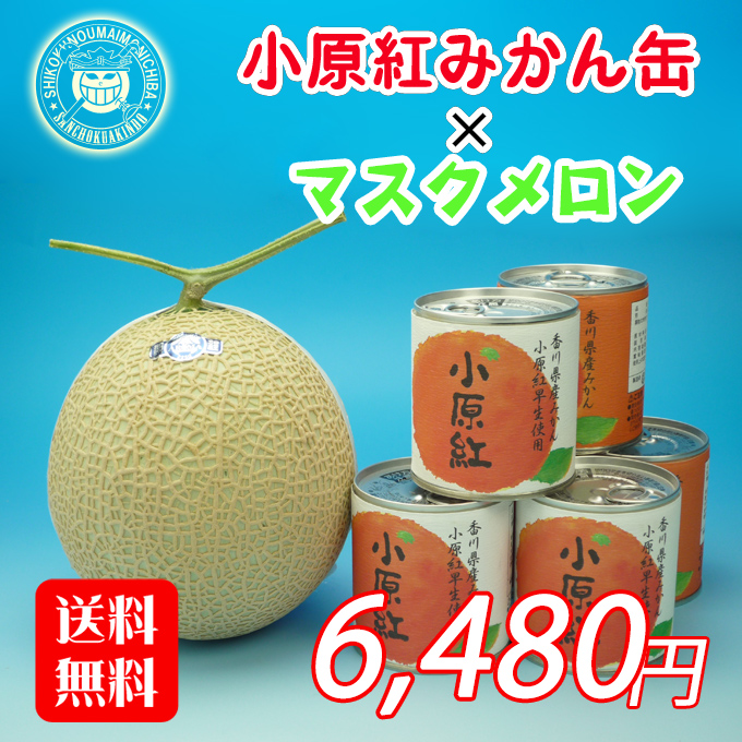 送料無料 小原紅みかんの缶詰と高知産の最高級マスクメロンのコラボ トロける甘さを産地直便