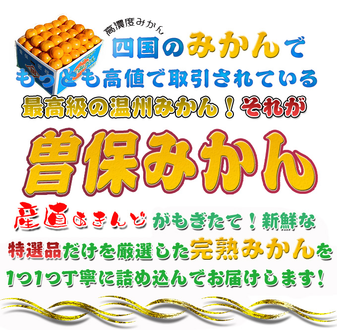 仁尾のみかん曽保みかん！