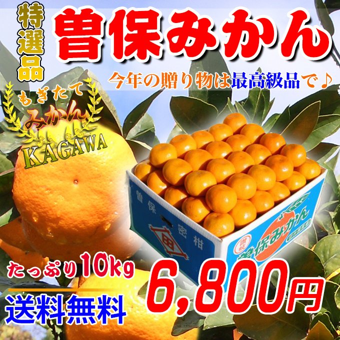 曽保みかんの説明！みかんの通信販売店！